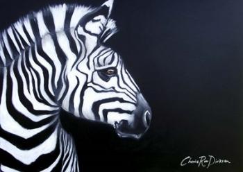 Zebra On Black | Obraz na stenu