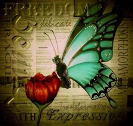 Butterfly on Flower with Words | Obraz na stenu