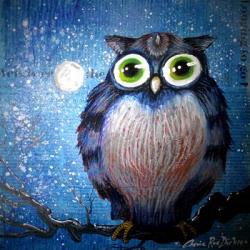 Blue Owl | Obraz na stenu