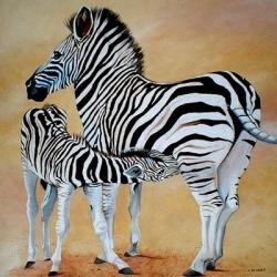 Zebra Bonding | Obraz na stenu