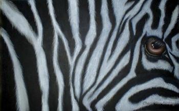 Zebra Eye | Obraz na stenu