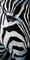 Zebra Long Face | Obraz na stenu