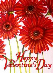 Valentine Gerbera Flowers | Obraz na stenu