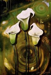 Arum Lilies | Obraz na stenu