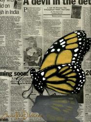 Butterfly On My Newspaper | Obraz na stenu