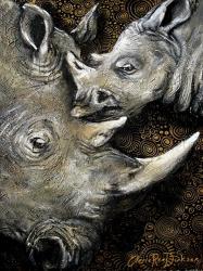 Rhinos | Obraz na stenu