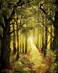 Sunlit Forest Path | Obraz na stenu