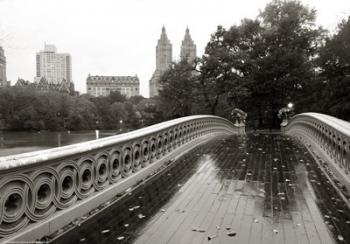 Bow Bridge 2010 | Obraz na stenu