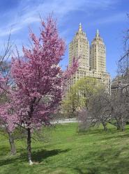 Central Park Spring Colors | Obraz na stenu