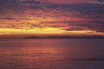 Catalina Sunset | Obraz na stenu