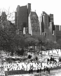 Wollman Rink | Obraz na stenu