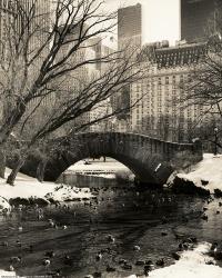 Gapstow Bridge NYC | Obraz na stenu