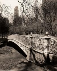 Pine Bank Bridge NYC | Obraz na stenu