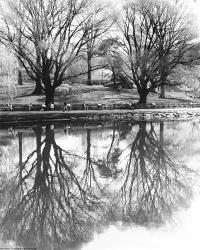 Central Park Lake | Obraz na stenu