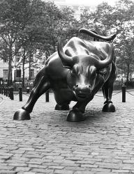 Wall Street Bull Sculpture 1 | Obraz na stenu