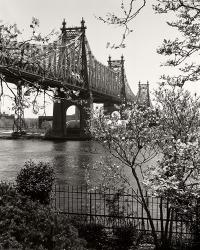 59Th Street Bridge | Obraz na stenu