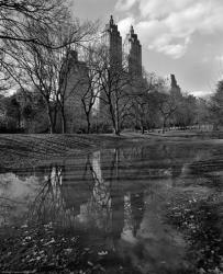 Central Park Reflections | Obraz na stenu