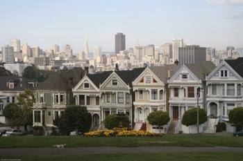 Painted Ladies San Franciso 1 | Obraz na stenu