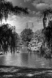 Central Park Lake HDR 1 | Obraz na stenu