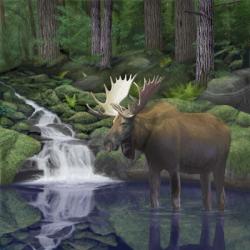 Woodland Moose | Obraz na stenu