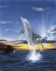 Leaping Dolphin | Obraz na stenu