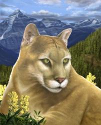 Rockies Mountain Lion | Obraz na stenu
