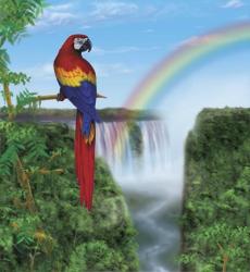 Macaw | Obraz na stenu