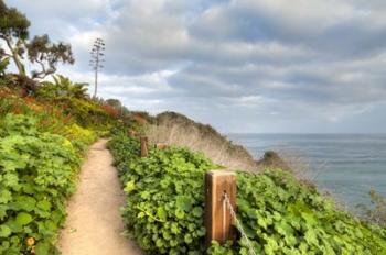 La Jolla Walk | Obraz na stenu