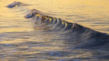 Warm Curl | Obraz na stenu