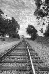 On The Right Track | Obraz na stenu