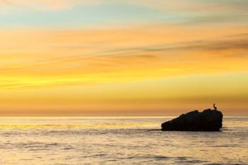 Pelican Sunrise | Obraz na stenu