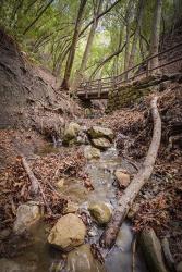 Lower Nojoqui Falls | Obraz na stenu