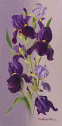 Study In Lavender | Obraz na stenu