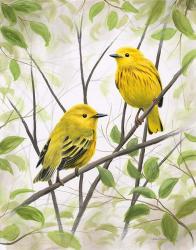 Springtime Warblers | Obraz na stenu