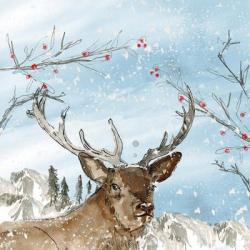 Reindeer | Obraz na stenu