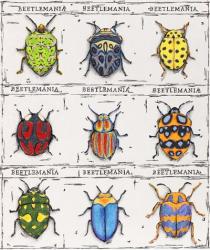 Beetlemania | Obraz na stenu