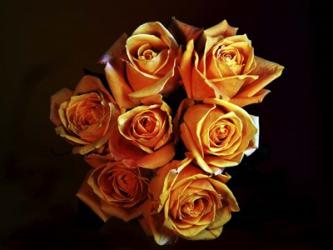 Bouquet Of Yellow Roses | Obraz na stenu
