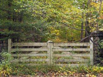 Gate And Country Path | Obraz na stenu