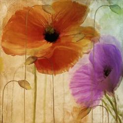 Penchant For Poppies II | Obraz na stenu