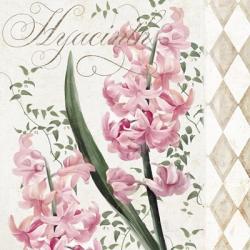 Hyacinth I | Obraz na stenu