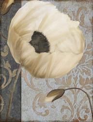 Poppy Brocade I | Obraz na stenu