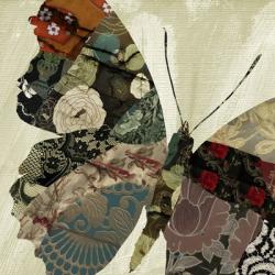 Butterfly Brocade III | Obraz na stenu