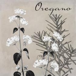 Flowering Herbs II | Obraz na stenu