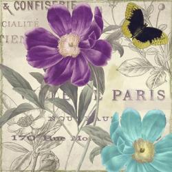 Petals of Paris II | Obraz na stenu