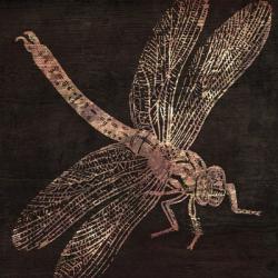 Dragonfly | Obraz na stenu