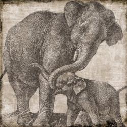 Elephant 2 | Obraz na stenu