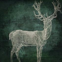 Emerald Deer | Obraz na stenu