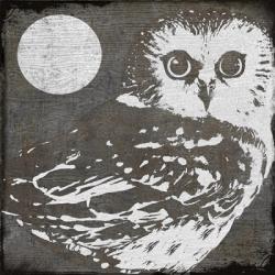 Owl 3 | Obraz na stenu