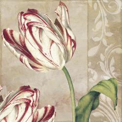 Peppermint Tulips I | Obraz na stenu