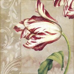 Peppermint Tulips II | Obraz na stenu